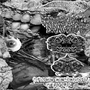 Various - Manifestation Of Progresive Palor Mortis mp3