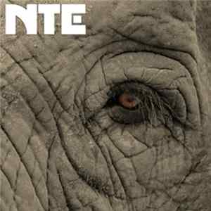 Not The Elephant - Strangers mp3