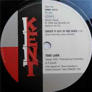 Tobi Lark / Dottie & Millie - Sweep It Out In The Shed / Nothing In This World mp3