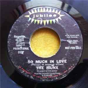 The Munx - So Much In Love mp3