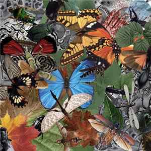 Ad Marginem - Mechanical Insect mp3