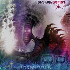 Skyhighatrist - Incahoots mp3