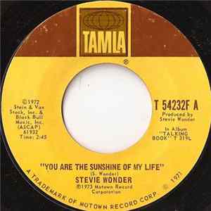 Stevie Wonder - You Are The Sunshine Of My Life mp3