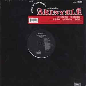 Akinyele - Put It In Your Mouth mp3