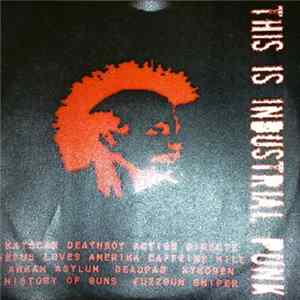 Various - This Is Industrial Punk mp3