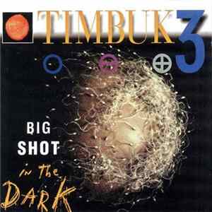 Timbuk 3 - Big Shot In The Dark mp3