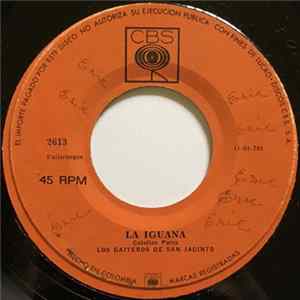 Los Gaiteros De San Jacinto - La Iguana / Mujer Soplavientera mp3
