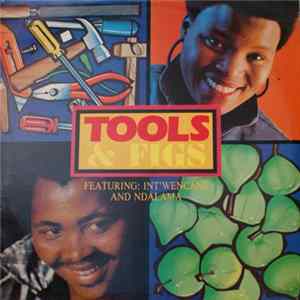 Tools & Figs, Lady Thuli & Mafika - Featuring: Int'Wencane And Ndalama mp3