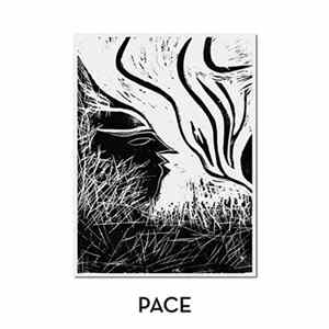 Marvin Horsch - Pace mp3