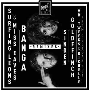 Surfing Leons & Miss Eaves - Banga Remixes mp3