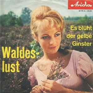 Die Heimatsänger - Waldeslust mp3