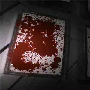 Disciples Du Chaos - WHITEBLOOD mp3