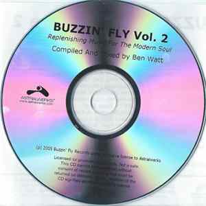 Ben Watt - Buzzin' Fly Volume 2 - Replenishing Music For The Modern Soul mp3