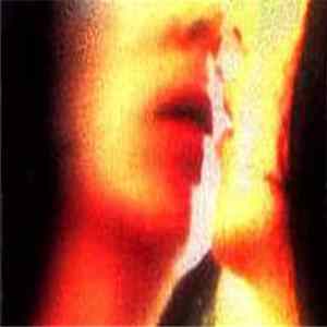 ONQ / Pyosalpinx - Split mp3