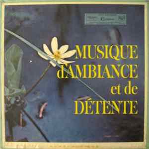 Various - Musique D'ambiance Et De Détente mp3