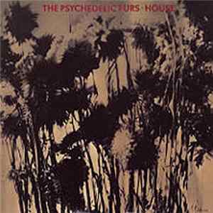 The Psychedelic Furs - House mp3