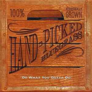 Hand-Picked Bluegrass Band - Do What You Gotta Do mp3