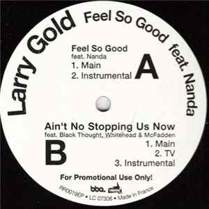 Larry Gold Feat. Nanda - Feel So Good mp3