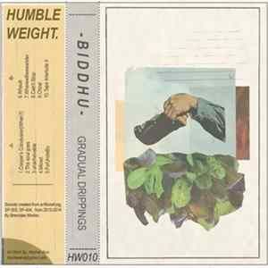 BIDDHU - Gradual Drippings mp3