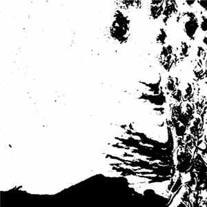 Skittish Arm - I Don't Know What I Should Do To Right Myself Again mp3