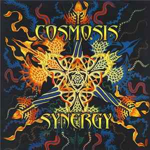 Cosmosis - Synergy mp3
