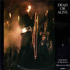 Dead Or Alive - Something In My House (Mortevicar Mix) mp3
