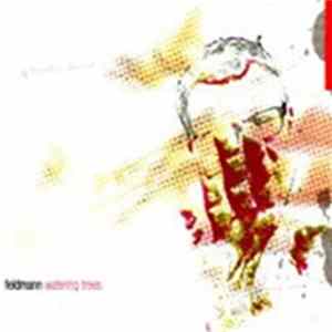 Feldmann - Watering Trees mp3