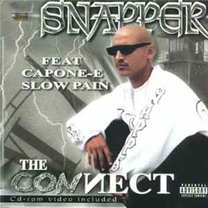 Snapper - The Connect mp3