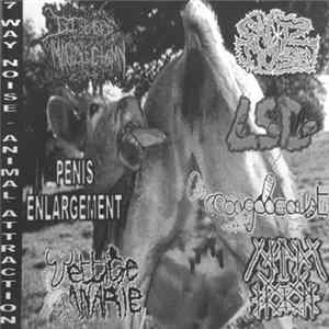 Various - 7 Way Noise - Animal Attraction mp3
