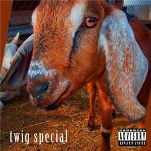 Minds Under Cover - Twig Special mp3