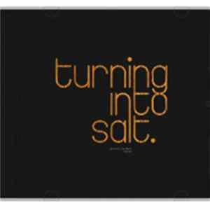 Turning Into Salt - Present Perfect Tense mp3