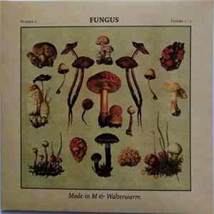 Made In M & Walterwarm - Fungus mp3