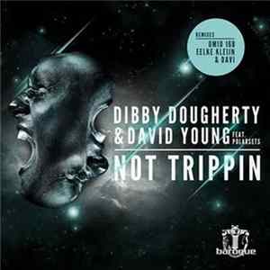Dibby Dougherty & David Young Feat. Polarsets - Not Trippin mp3