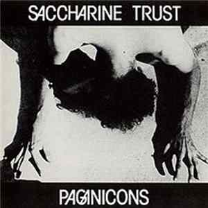 Saccharine Trust - Paganicons mp3