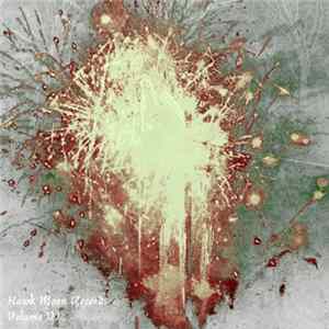 Various - Hawk Moon Records: Volume VI mp3