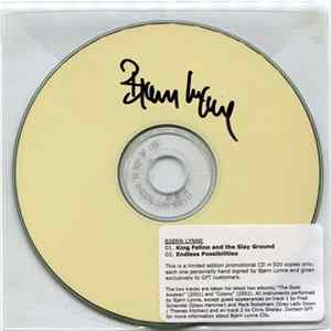 Bjørn Lynne - King Felino and the Slay Ground / Endless Possibilities mp3