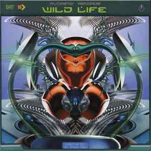 DJ Shane Gobi - Wild Life mp3