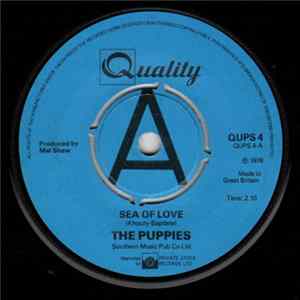 The Puppies - Sea Of Love mp3