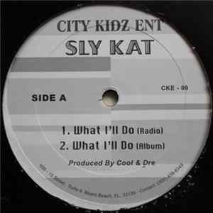 Sly Kat - What I'll Do mp3