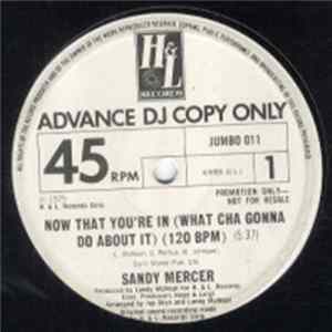 Sandy Mercer - Now That You're In (What Cha Gonna Do About It) mp3