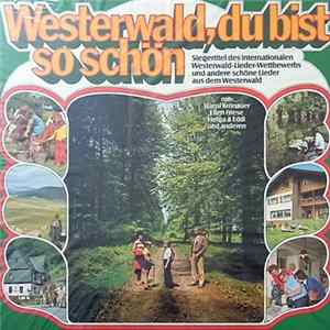 Hansl Krönauer - Ellen Friese - Original Birkenwälder Musikanten - Westerwald, Du Bist So Schön mp3