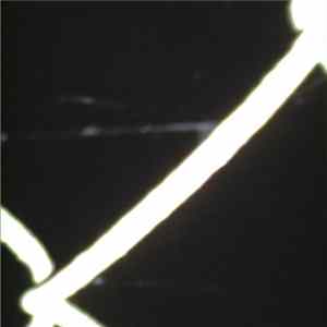 Dorese - Avancer Sur Les Feuilles Mortes mp3