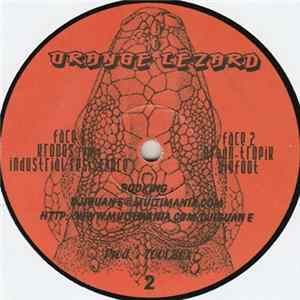 Iguane - Orange Lezard mp3