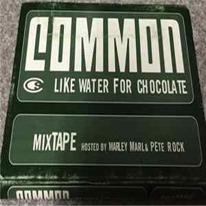 Common - Like Water For Chocolate Mixtape mp3