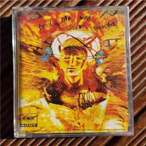 Toad The Wet Sprocket - Fear mp3