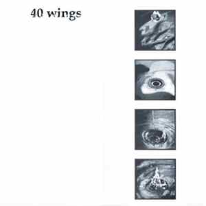 Various - 40 Wings mp3