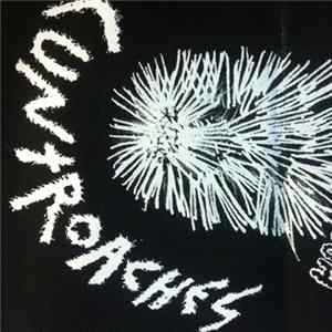 CUNTROACHES - Demo mp3