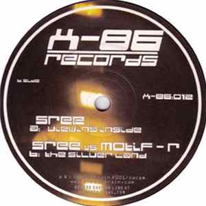 Sree - Viewing Inside / The Silver Land mp3