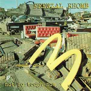 Frenzal Rhomb - Not So Tough Now mp3