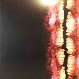 Kleft - H+ Sexualis mp3
